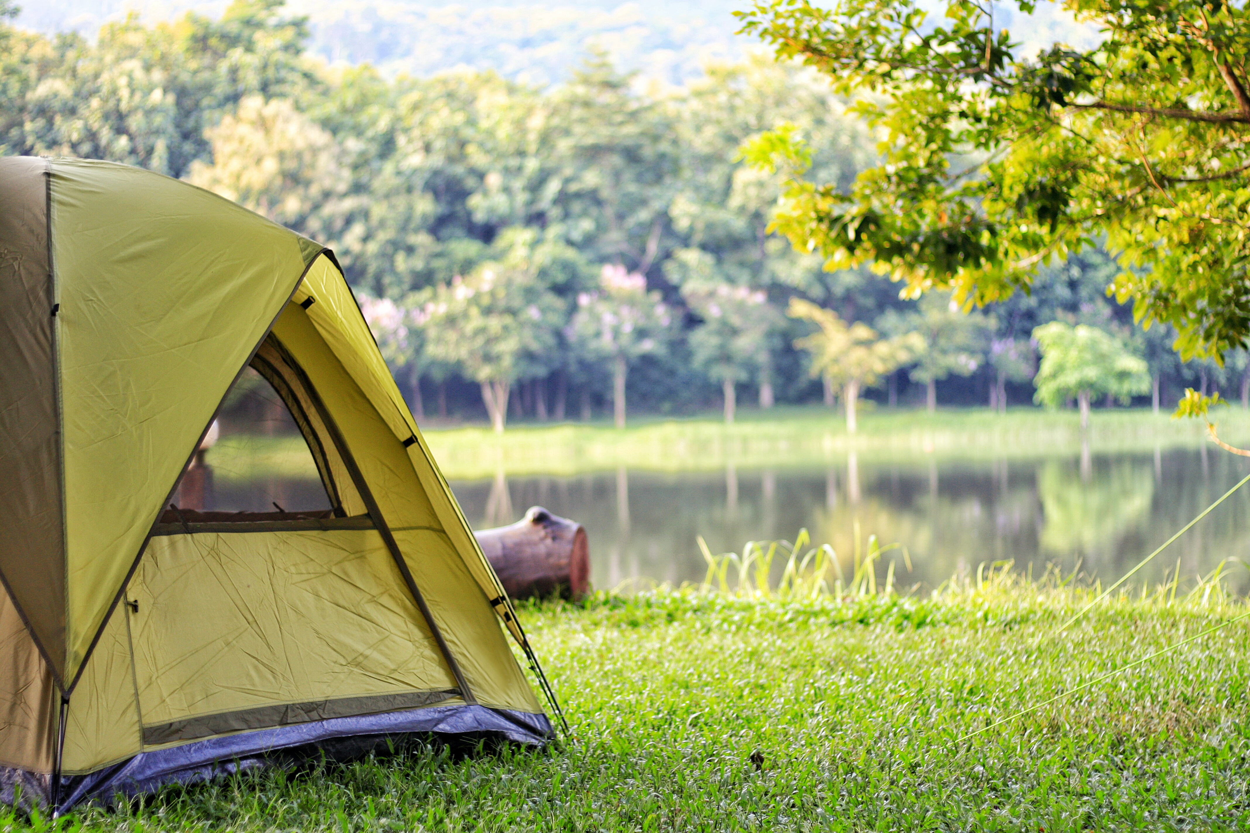 Best tent outlet camping washington state