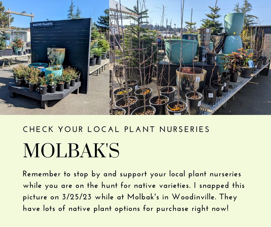 Molbak's Native Plant Selection by Kerriann
