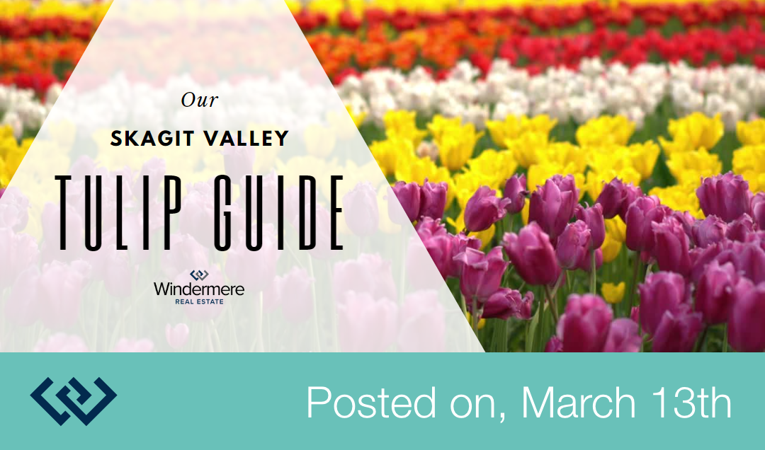 Skagit Valley Tulip Guide