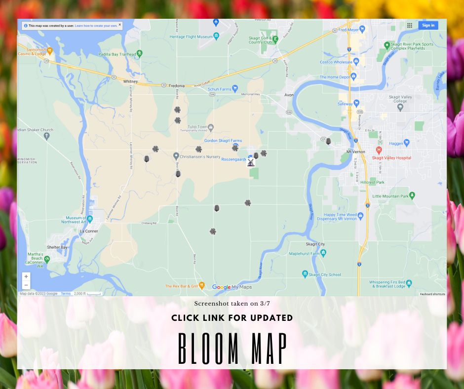 Skagit Valley Tulip Bloom Map 2024