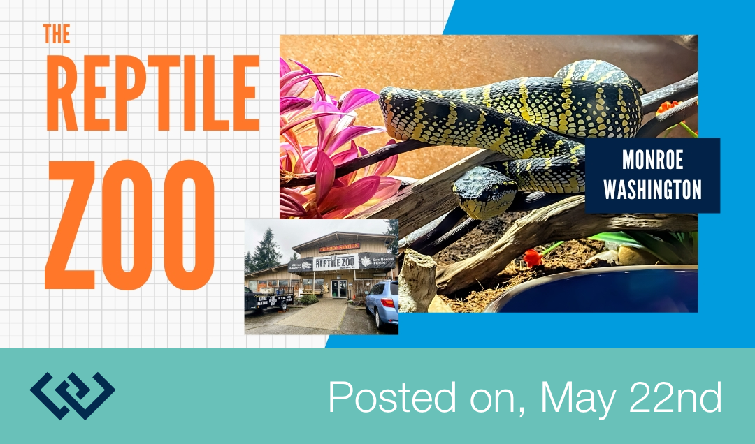 The reptile zoo